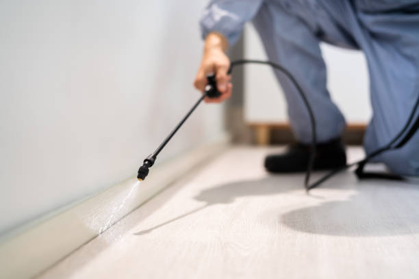 Licensed Pest Control service in La Luz, NM - Show Me Pest Control